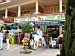 Canyamel 2005